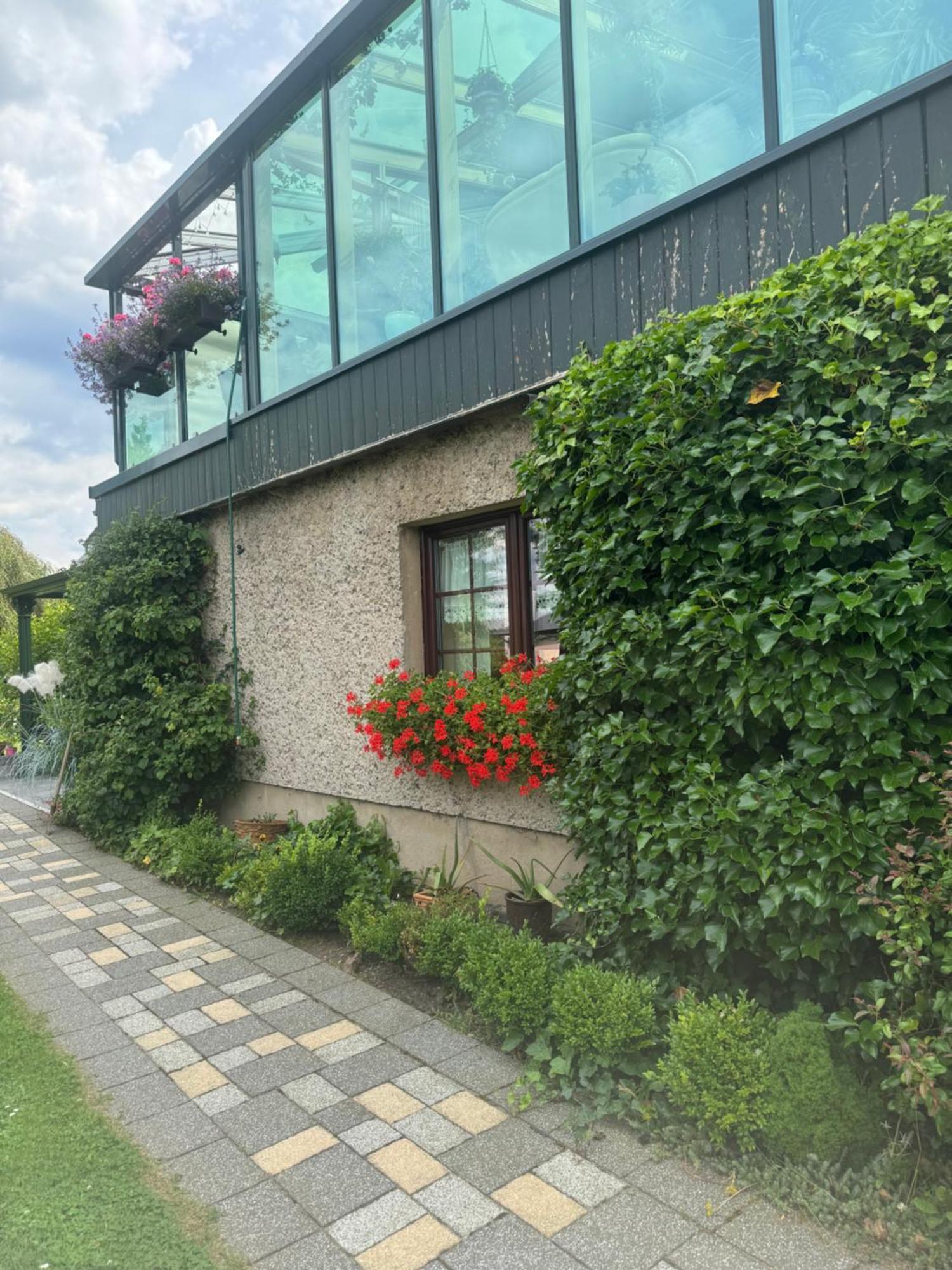 Ferienwohnung Hinterhermsdorf Glaser Sebnitz Eksteriør billede